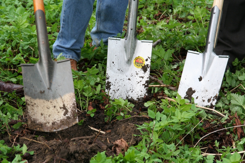 pepiniere-BEUIL-min_work-lawn-flower-tool-green-backyard-1103633-pxhere.com